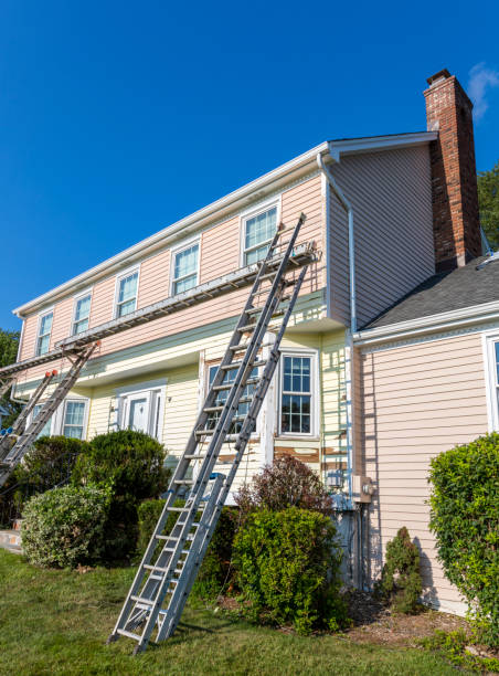 Best Insulated Siding Installation  in Island Walk, FL