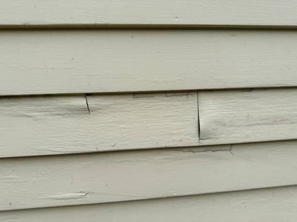 Affordable Siding Repair and Maintenance Services in Island Walk, FL